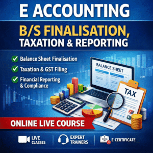 Accounting B/S Finalisation Course in Delhi NCR